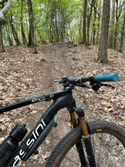 Massini New Roccolo Custombike -Shimano Verkoop 4 6 21