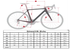 Massini Richmond II Custom Racefiets -Shimano Verkoop georichmondii