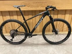 Massini New Roccolo Custombike