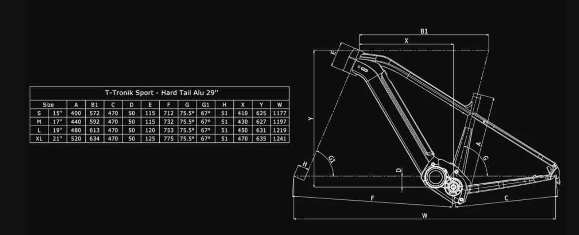 Bianchi T-Tronik Sport 9.1 SX Eagle 4 Bianchi T-Tronik Sport 9.1 SX Eagle - Afbeelding 2